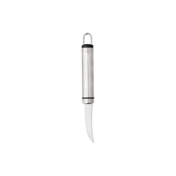FRUIT KNIFE 18.8 CM STEELY_
